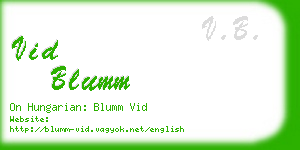 vid blumm business card